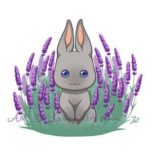 Lavender bunny